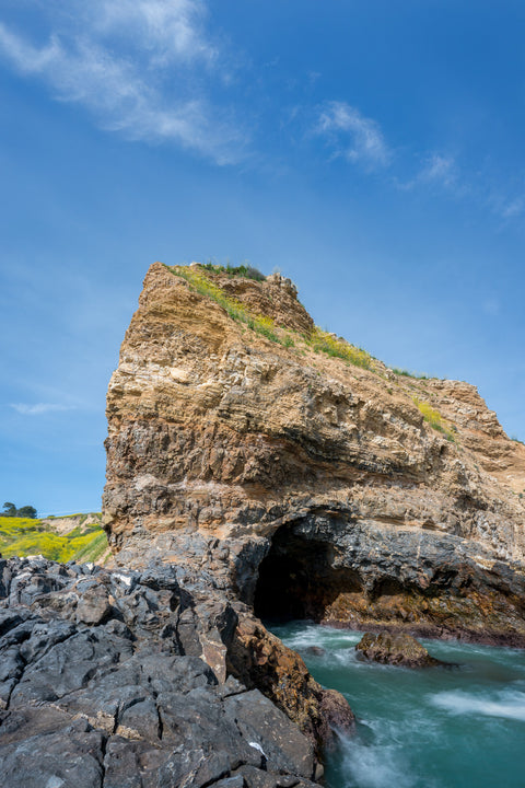 Abalone Cove- Limited Edition Print