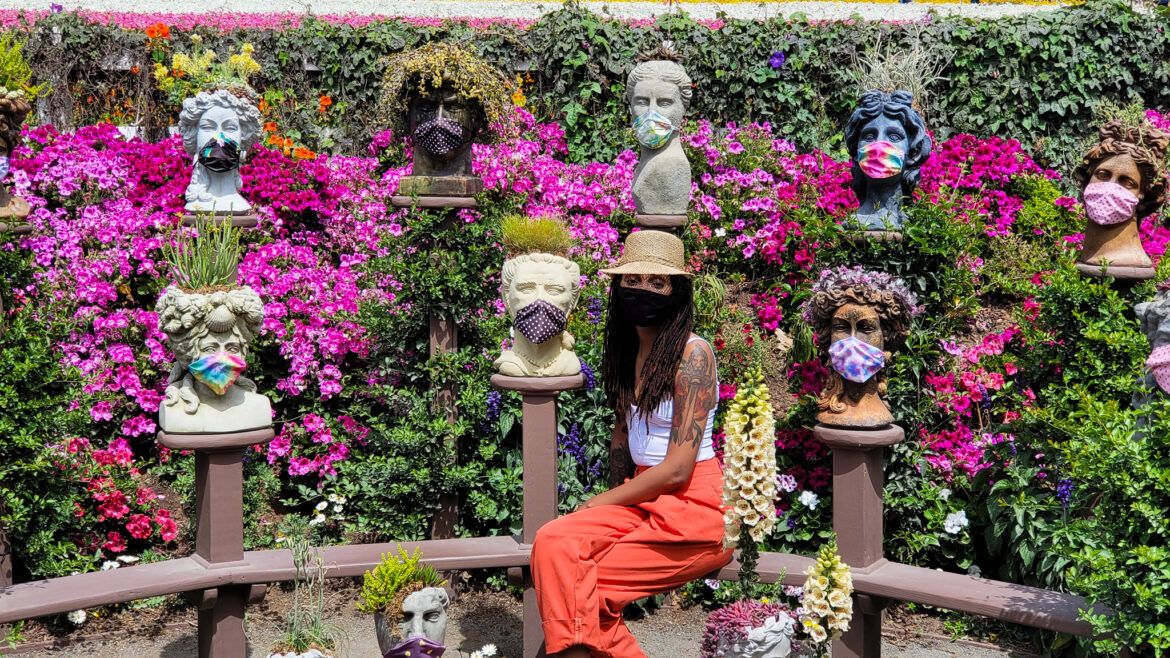 Carlsbad Flower Field Covid