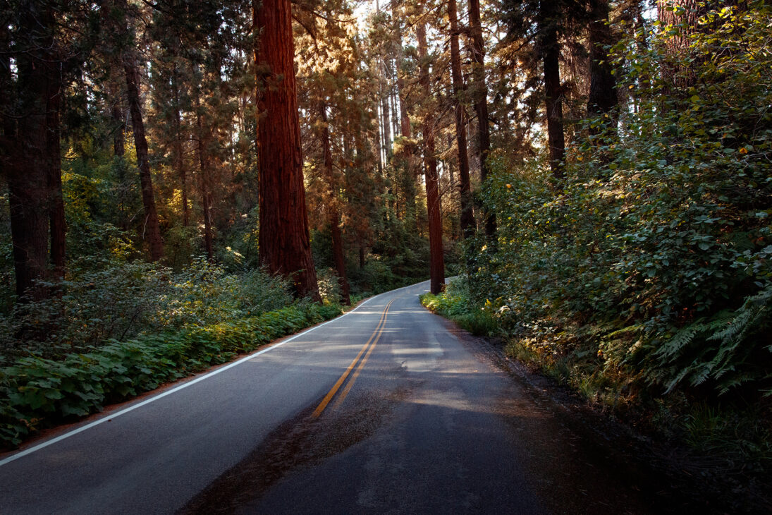 Sequoia National Park