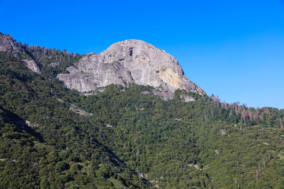 sequoia national park and kings canyon in one day