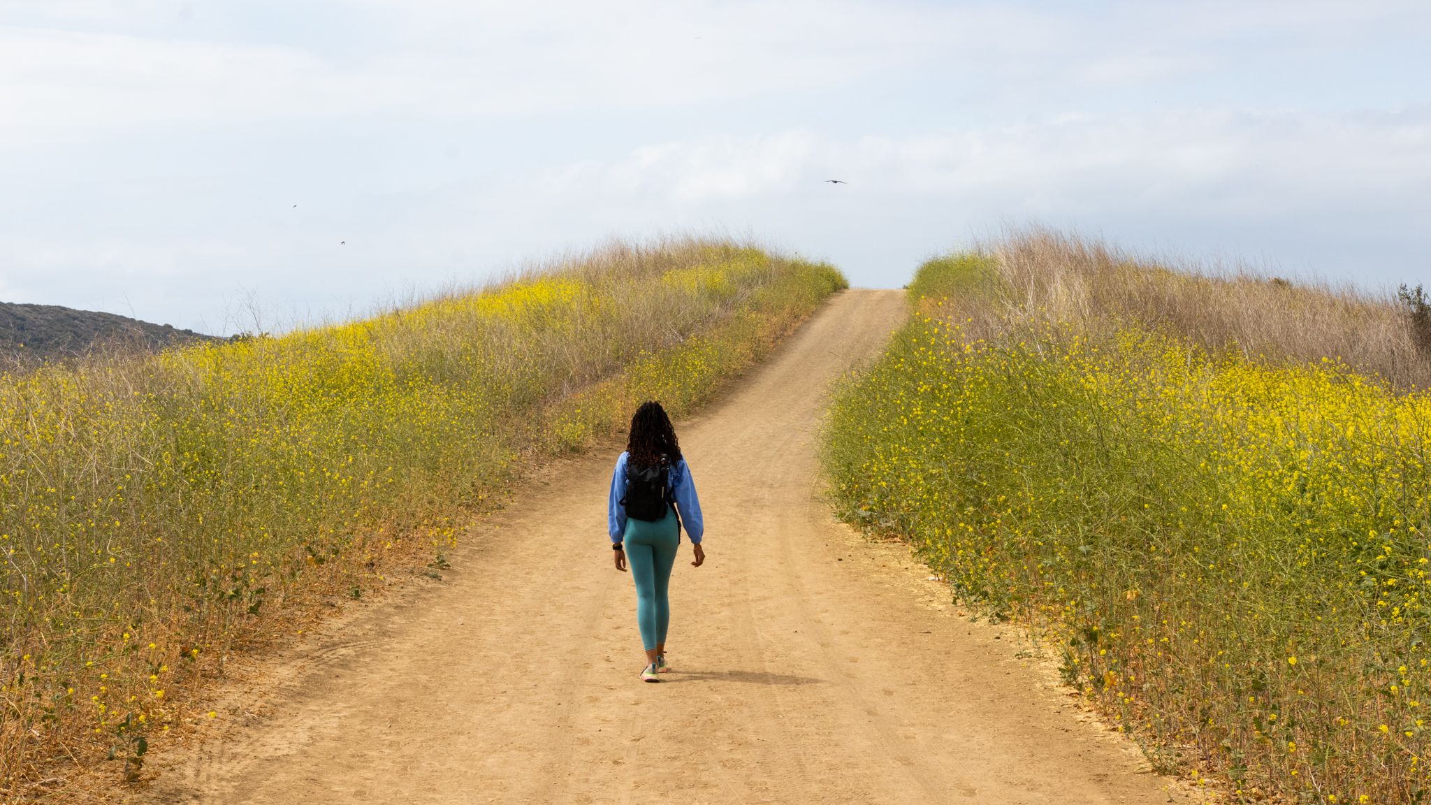 Crystal Cove Perimeter Loop