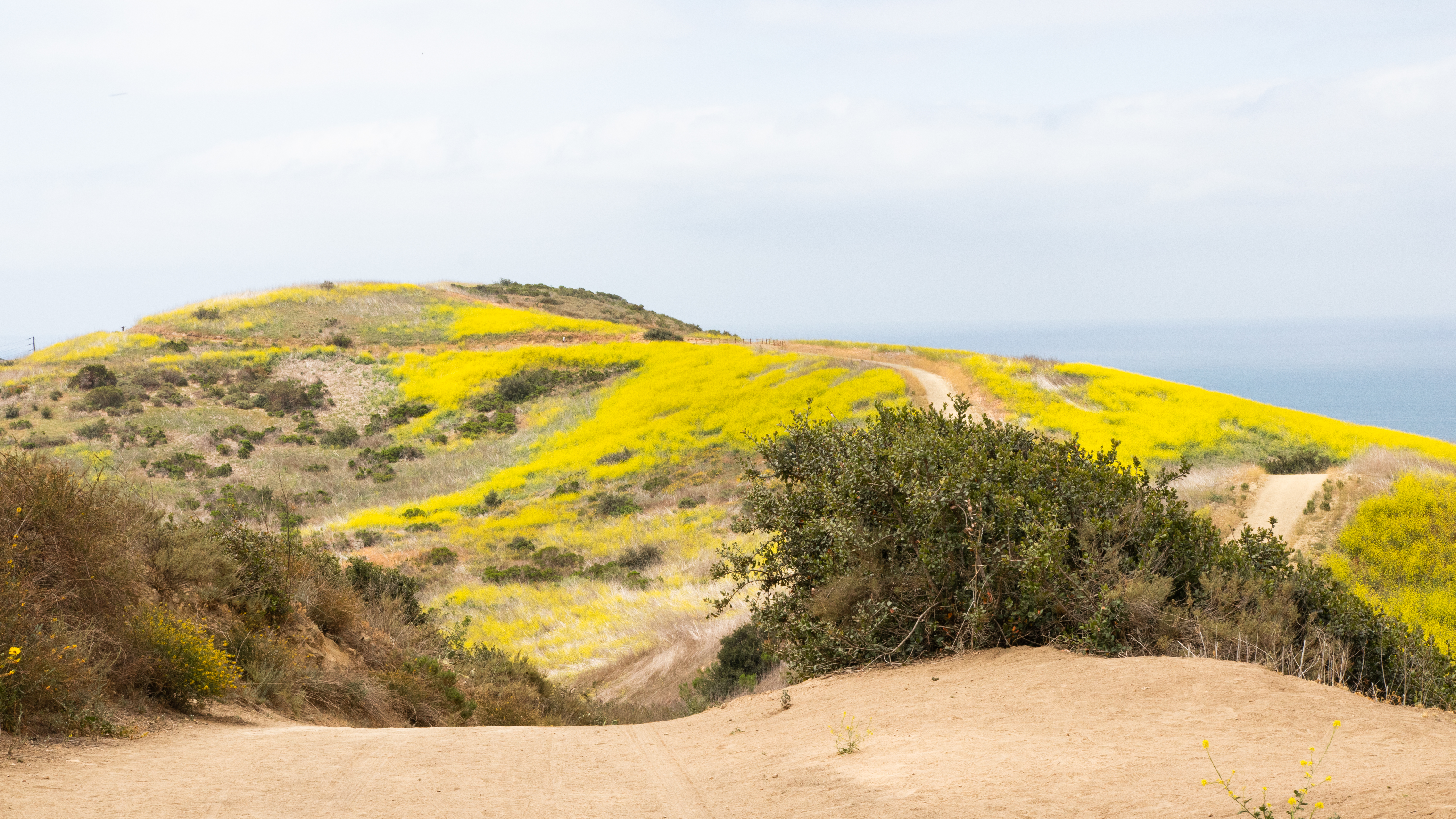 Crystal Cove State Park