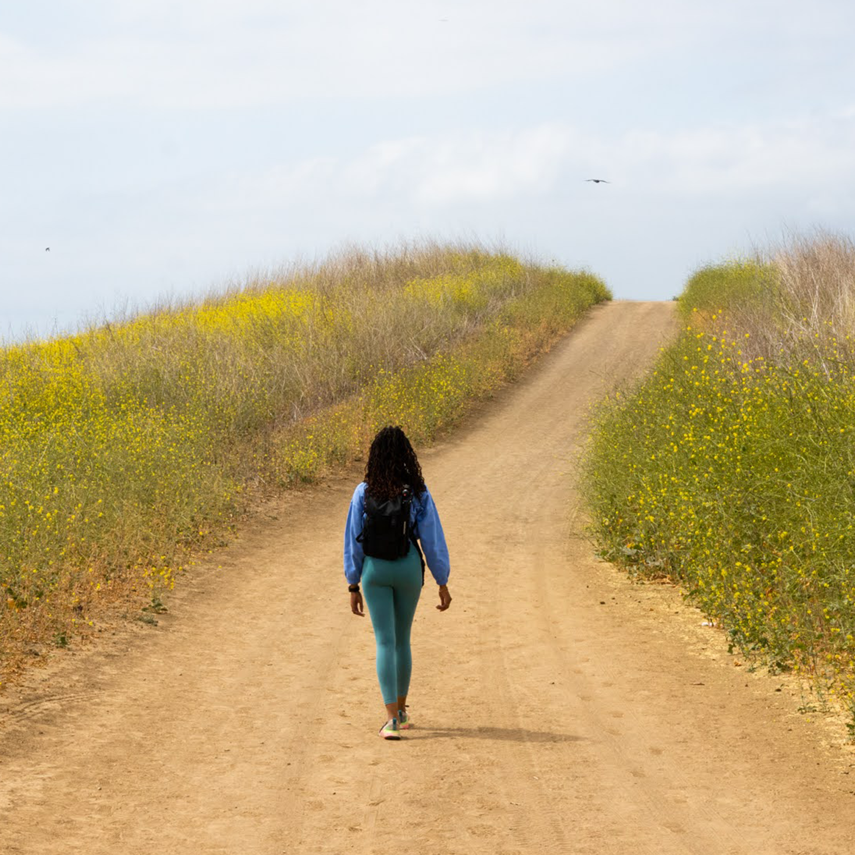 Crystal Cove Perimeter Loop