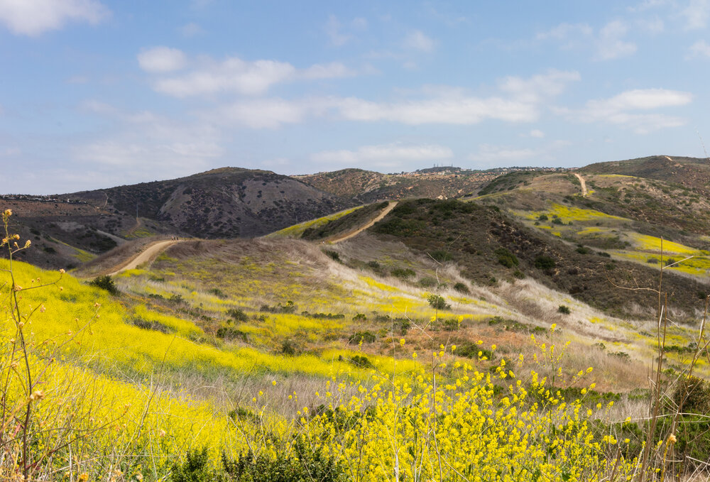 Crystal Cove Trail