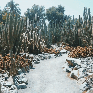 The Most Beautiful Garden in Southern California