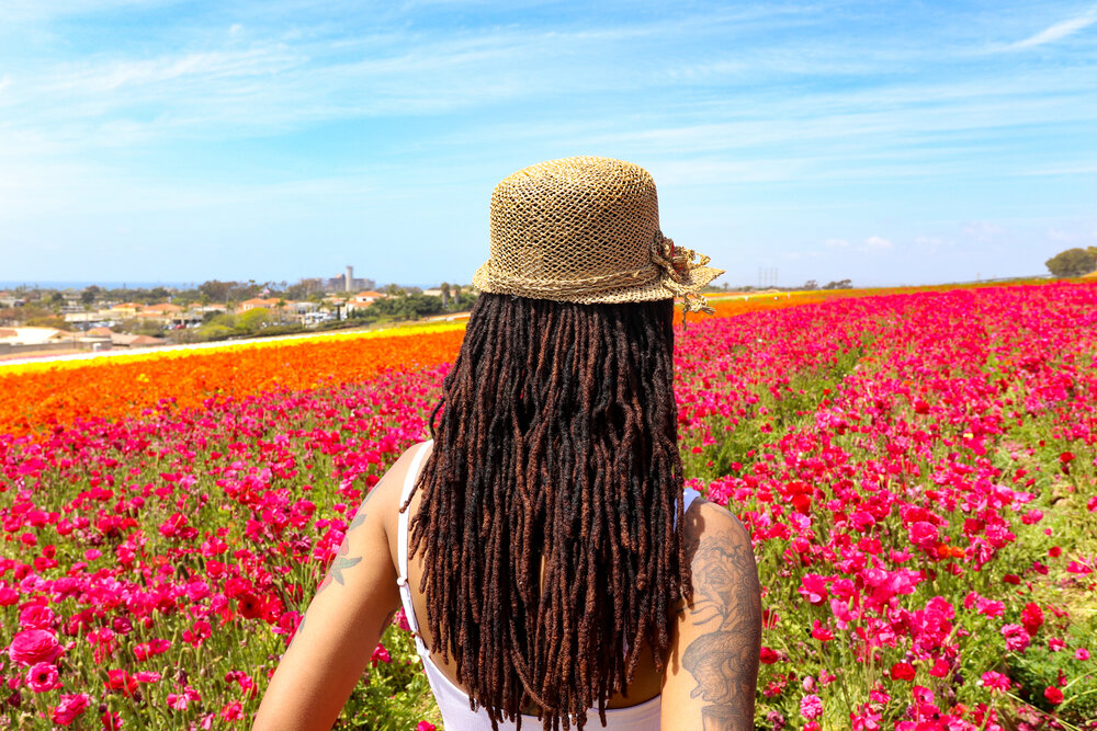 Carlsbad flower fields best time to visit