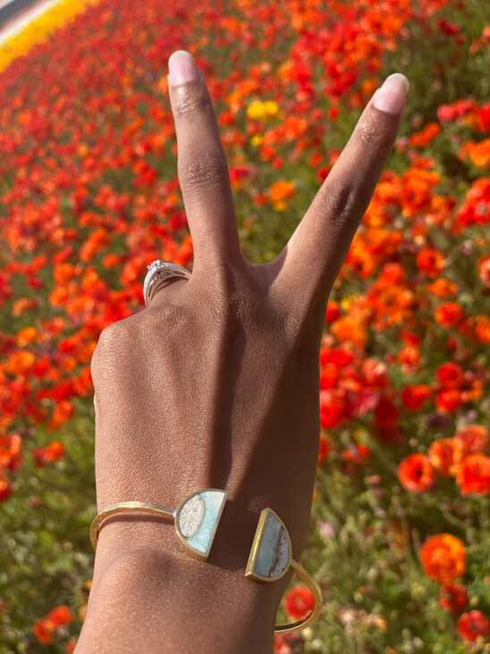 Carlsbad ca flower fields