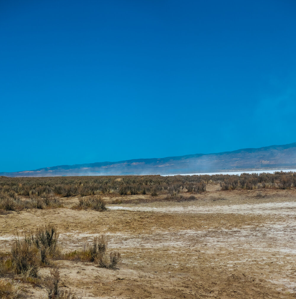 Carizzo plain national Monument