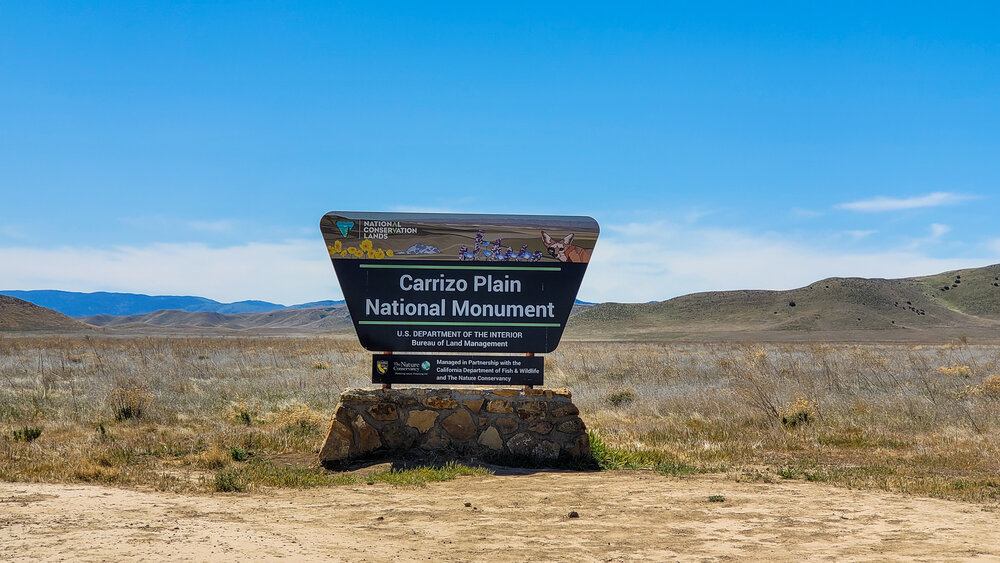 Carrizo Plains